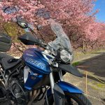 タイガー800：河津桜を見に日帰り伊豆